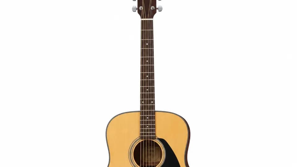 Guitar